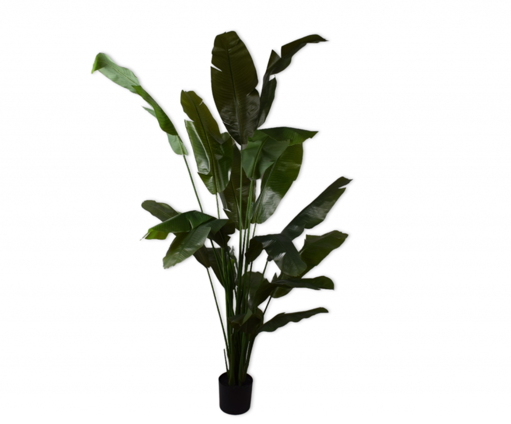 Kunstplant Strelitzia 200 cm