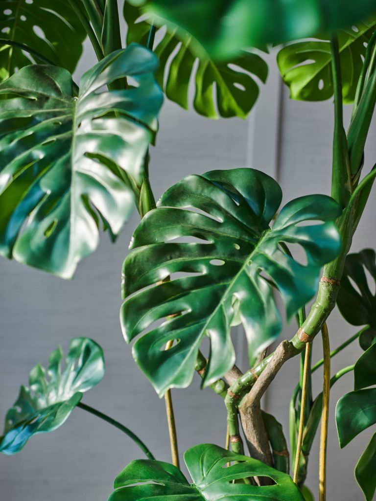 blad Monstera Kunstplant