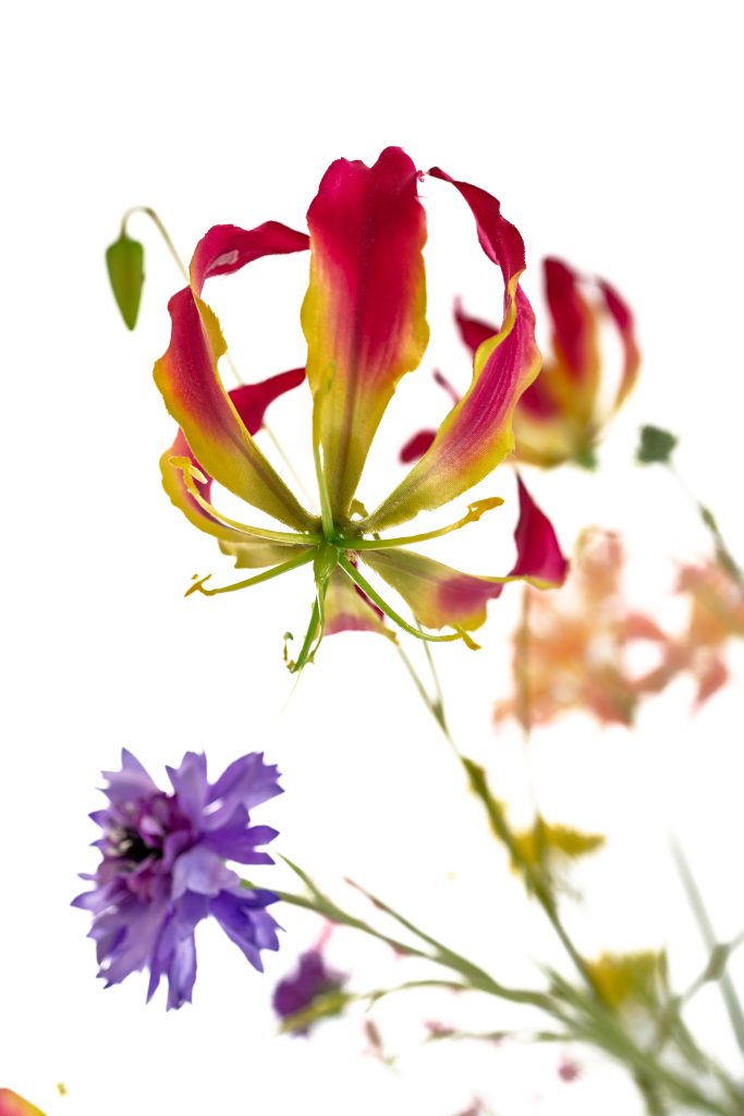 Kunstbloem Gloriosa