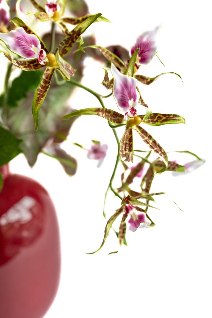 kunstbloem orchidee