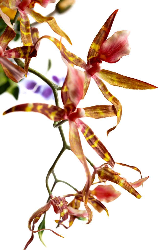 kunstbloem orchidee