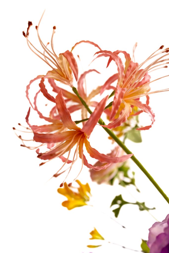 kunstbloem nerine