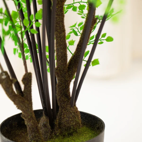 Adiantum 100cm 5
