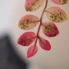 Blossom Bliss 5