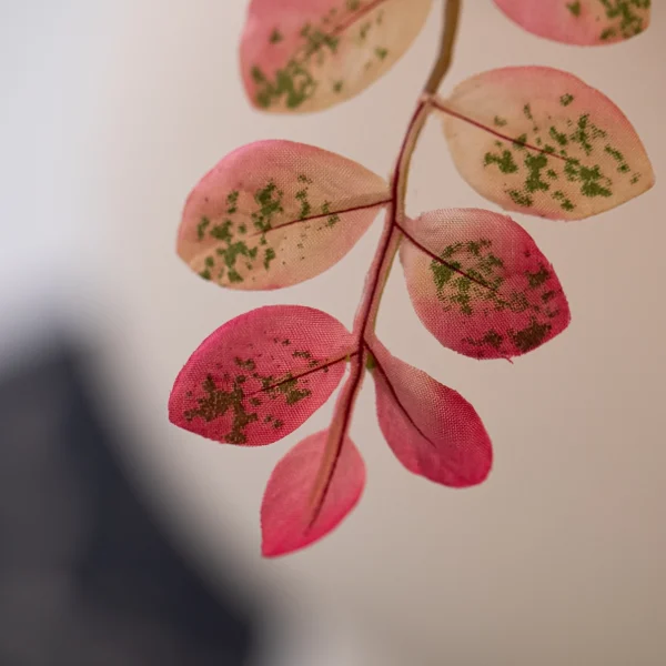 Blossom Bliss 5