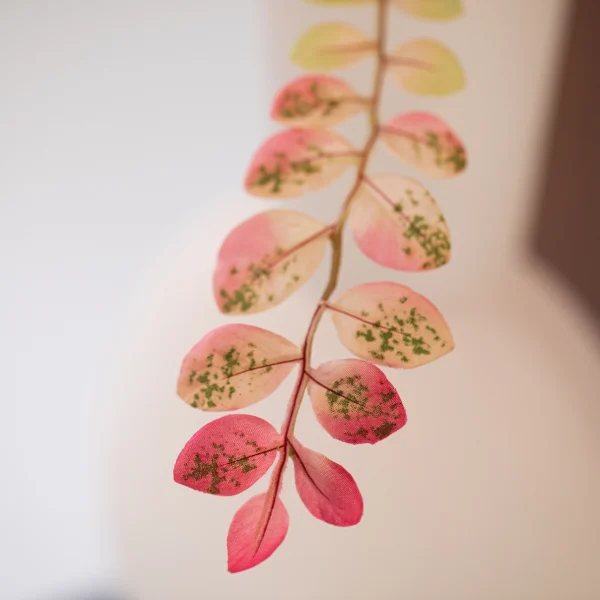Blossom Bliss 6