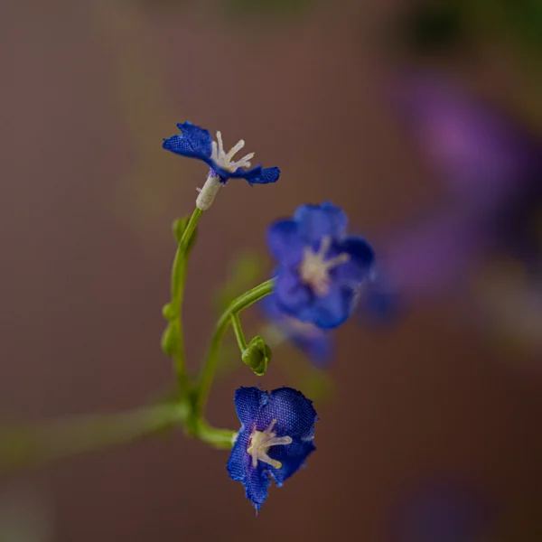 Blue Sky 3