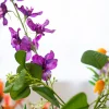 Bold & Blooming 3