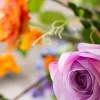Bold & Blooming 4