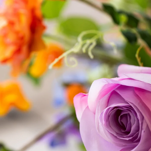 Bold & Blooming 4