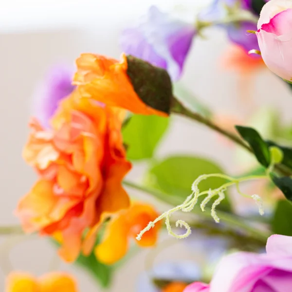 Bold & Blooming 5