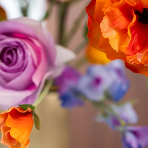 Bold & Blooming 6