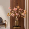 Champagne Bloom 1