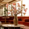 Champagne Bloom 2