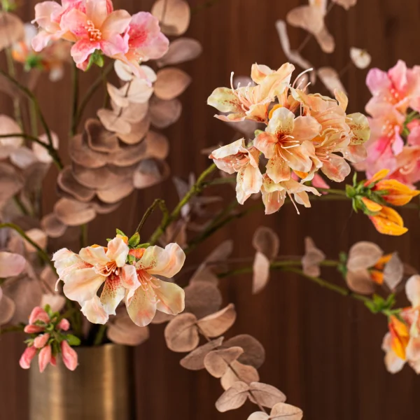 Champagne Bloom 5