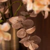 Champagne Bloom 6