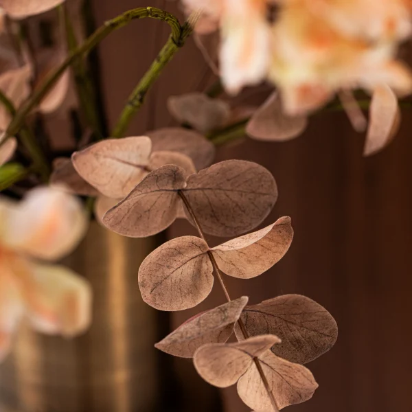 Champagne Bloom 6