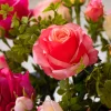 Eternal Rose 4