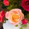 Eternal Rose 5