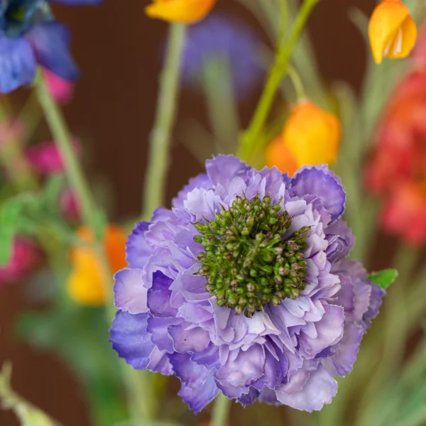 Floral Prestige 4