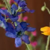 Floral Prestige 8