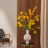 Golden Yellow 1
