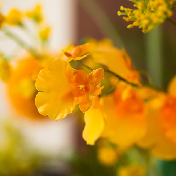 Golden Yellow 5