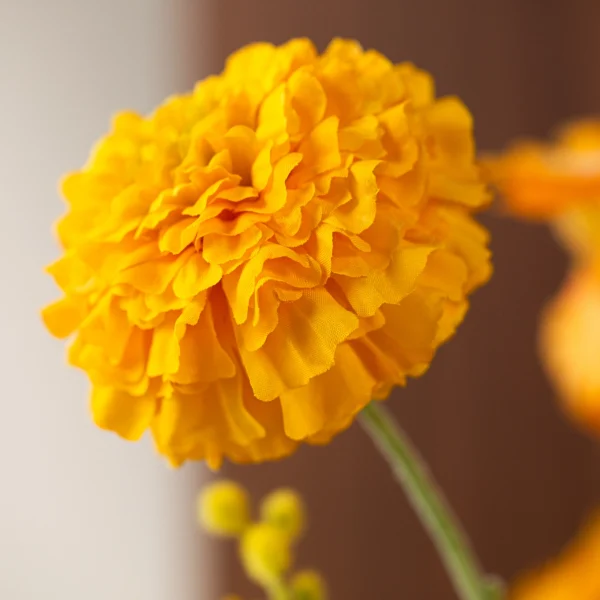 Golden Yellow 7