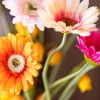 Instant Happiness 6