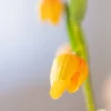 Instant Happiness 7