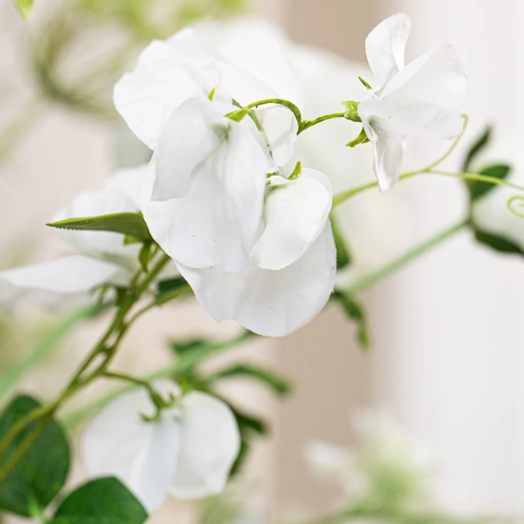 Luxe Blanc 5