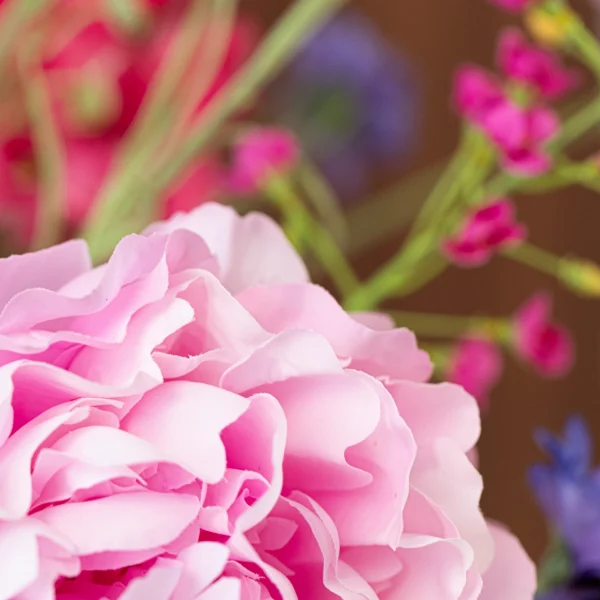 Majestic Blush 3