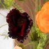 Poppy Love 3