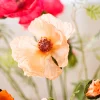 Poppy Love 4