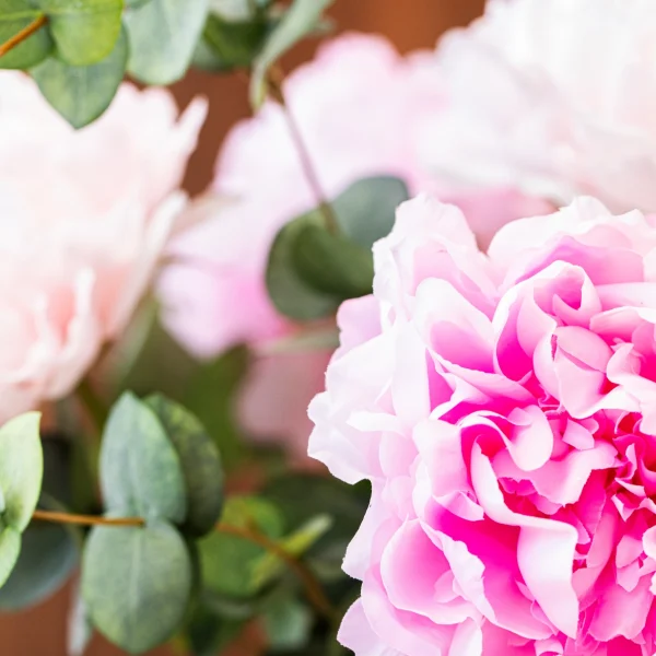 Pure Peonies 4