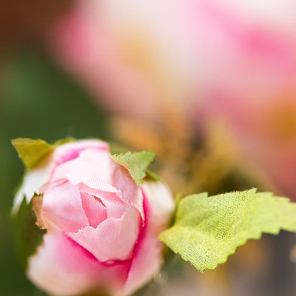Rose Love 3