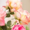 Rose Love 4