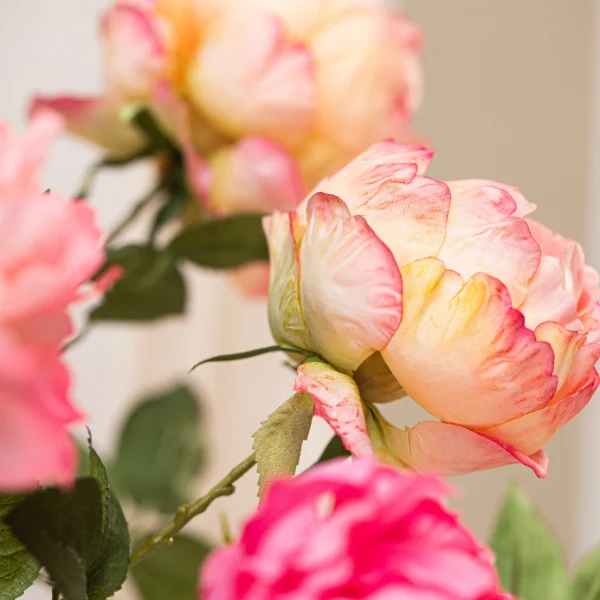 Rose Love 5