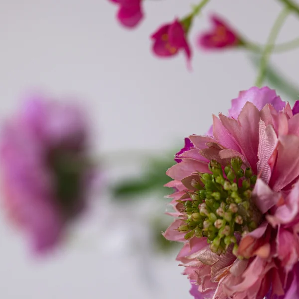 Roze Elegance 10