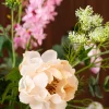 Roze Elegance 12