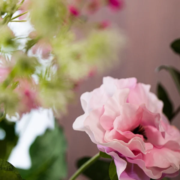 Roze Elegance 4