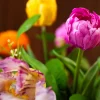 Vibrant Tulips 3