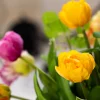 Vibrant Tulips 4
