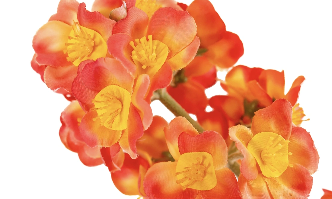 roze bolvaas oranje roze 7993